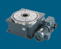 Rotary indexers with fixed division