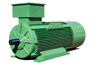 Medium Voltage Motors, serie HVM - HVC