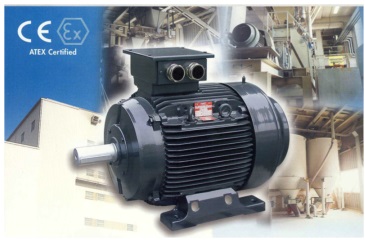 ATEX Motors Dust and Gas