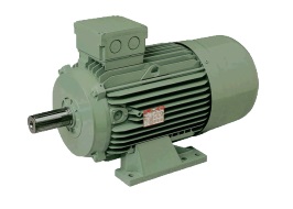 Selfbraking Motors: M2AO-MAO / M2AY-M2Y series