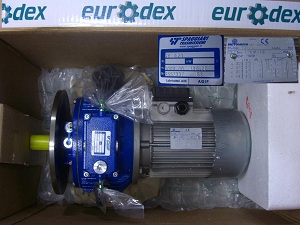 Motovario Planetary Gearbox 